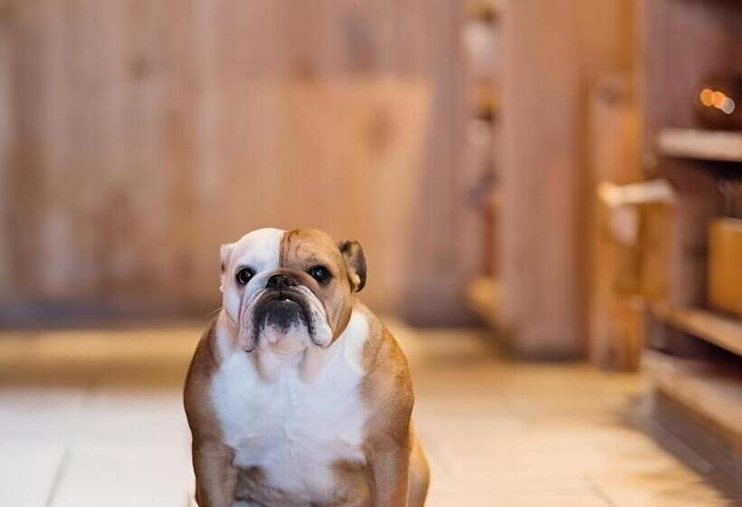 هتل De Zeebries Budget