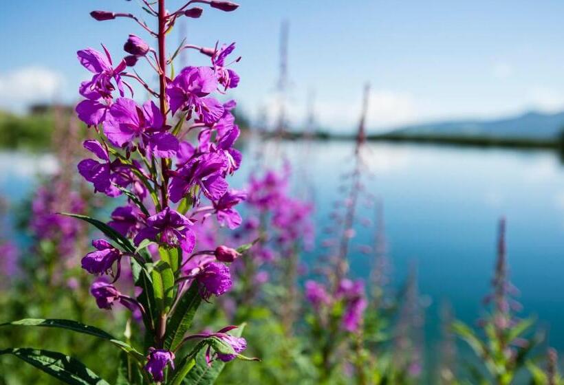 Hotelli Ennskraxblick