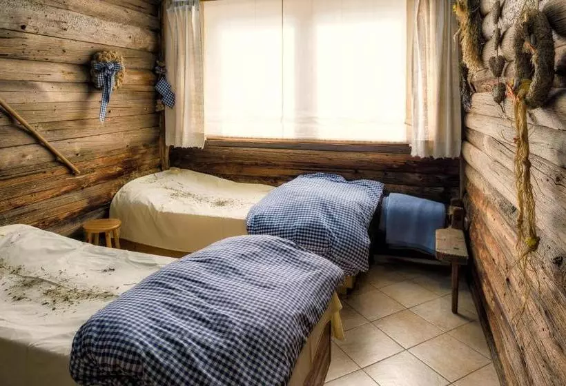 Hotel Forer