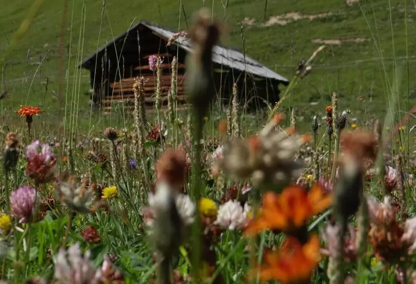 Hotel Silvretta