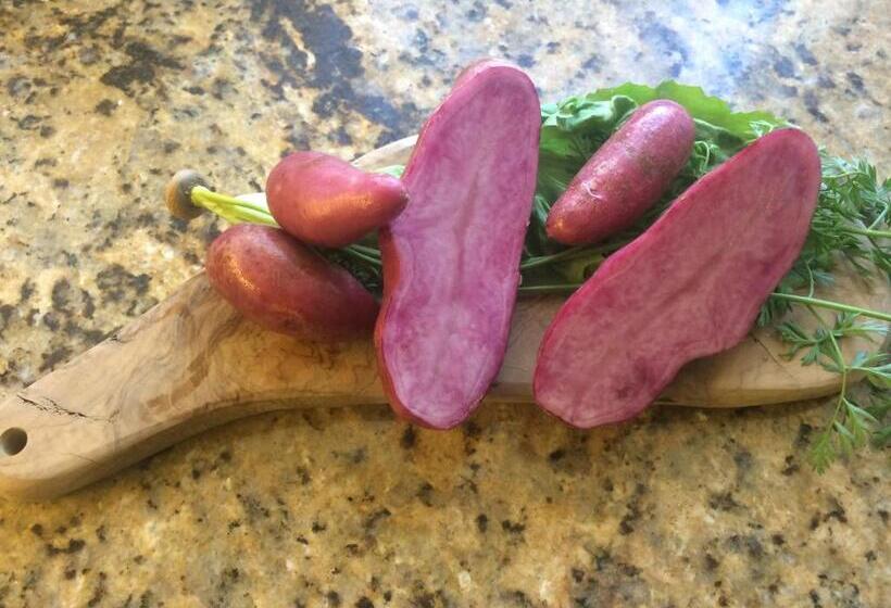 ホテル Villa Blumegg