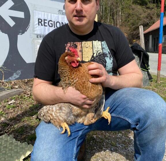 ホテル Villa Blumegg