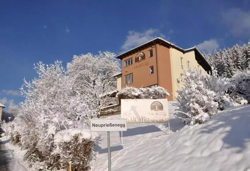 Hotelli Villa Blumegg