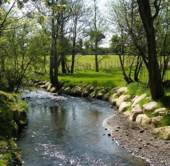 Riverfield Bed And Breakfast