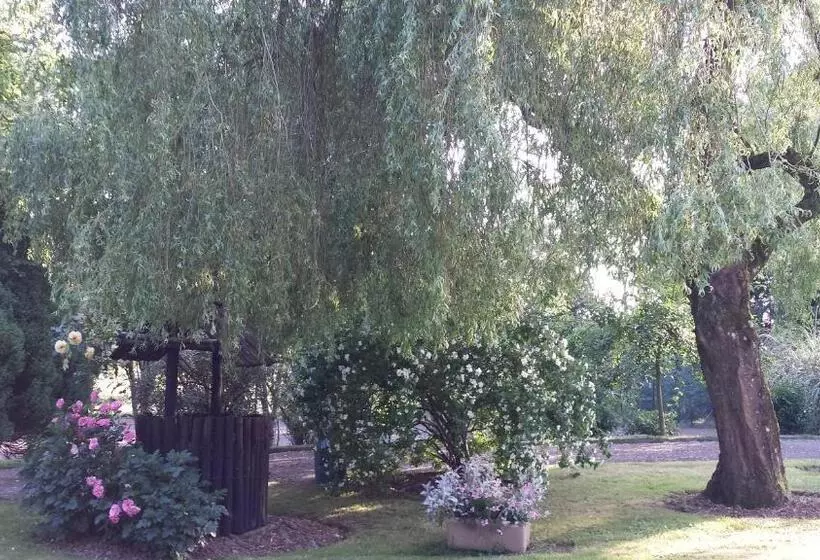 Riverfield Bed And Breakfast