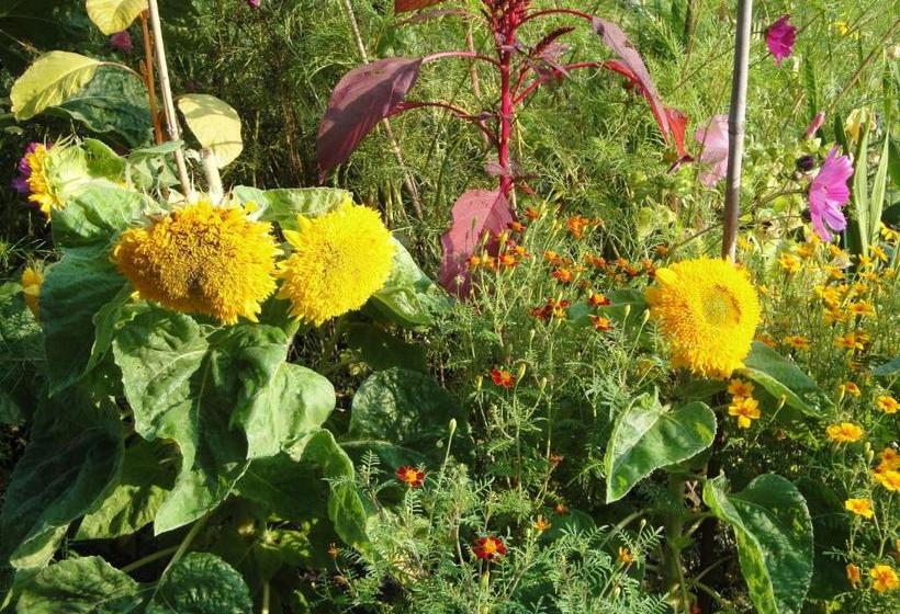 צימר Maison d'hôtes La Lavandière