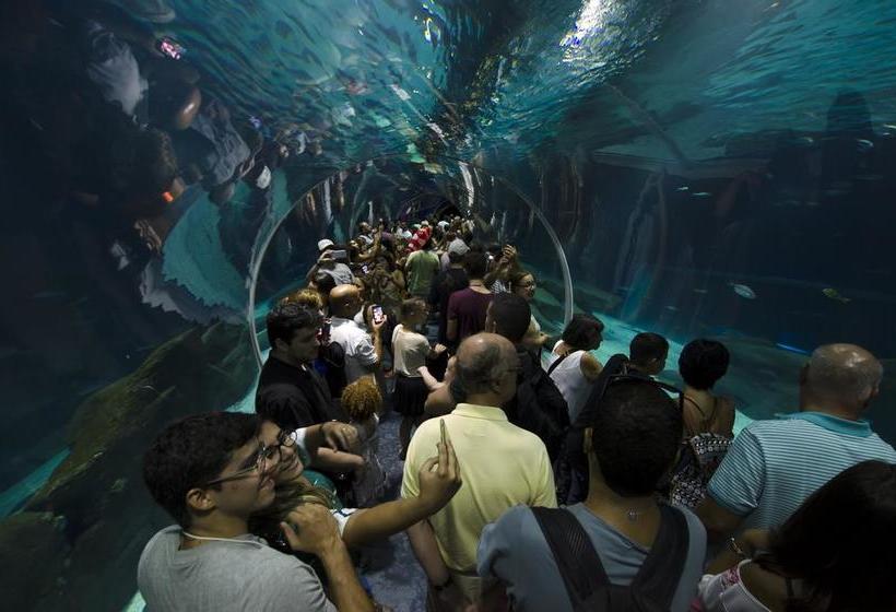 Fotos del hotel Belga:  3