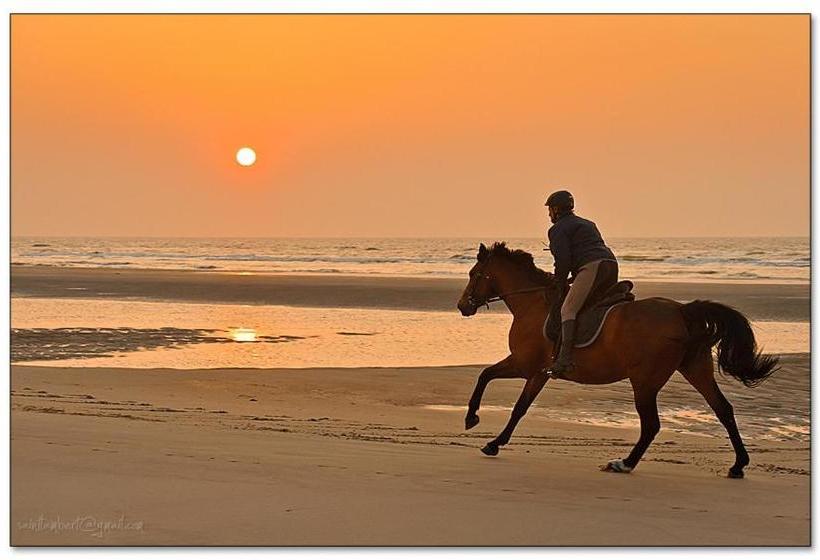 ホテル De Gouden Haan