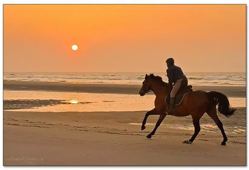 هتل De Gouden Haan