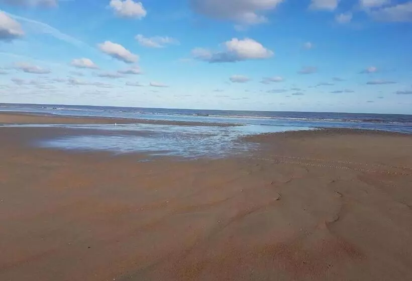 هتل De Gouden Haan