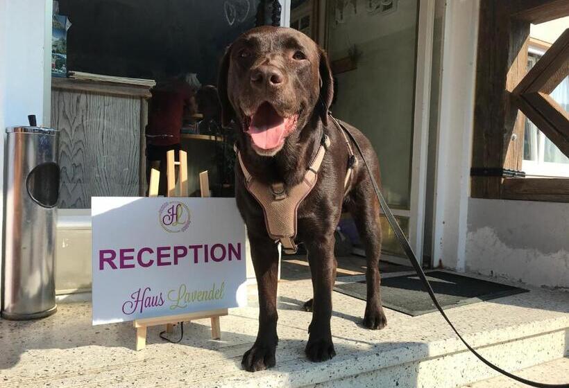 호텔 Haus Lavendel