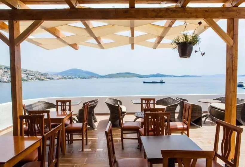 Hotel Pini