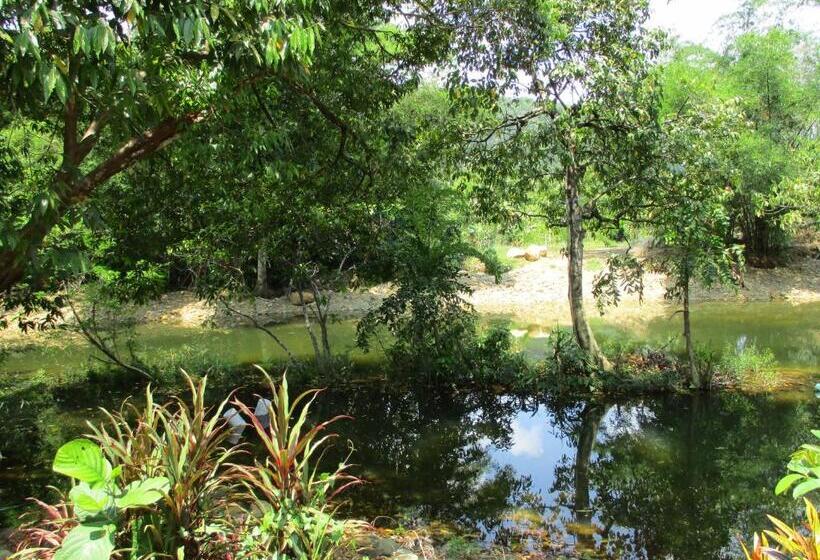 Khao Sok Island Resort
