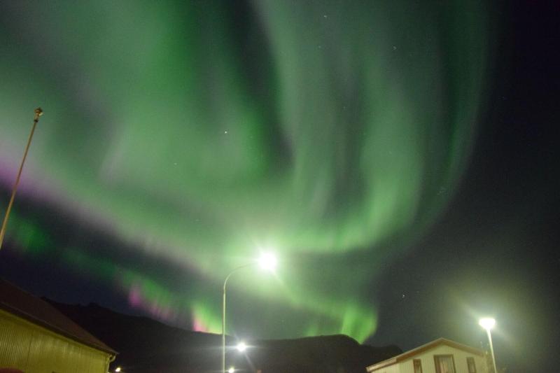 هاستل Puffin Hotel Vík