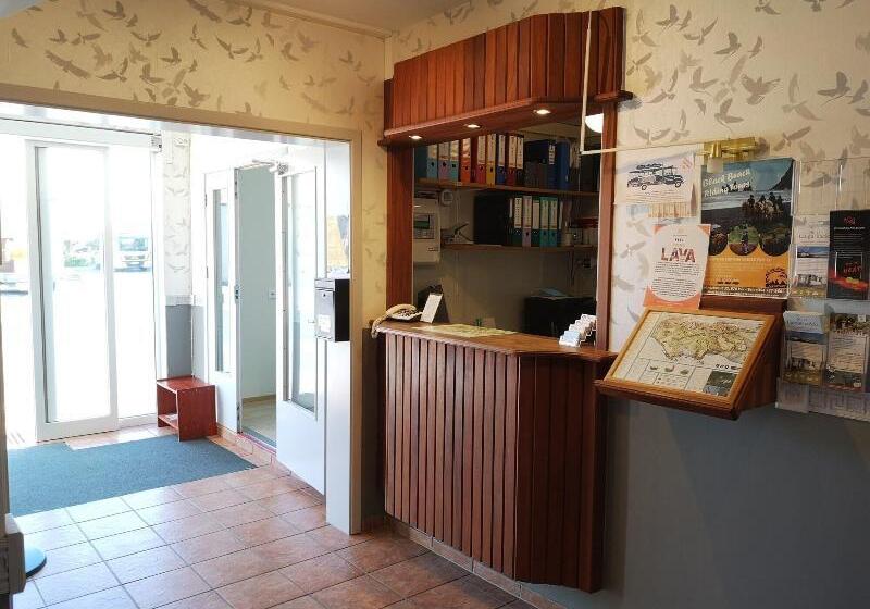 هاستل Puffin Hotel Vík