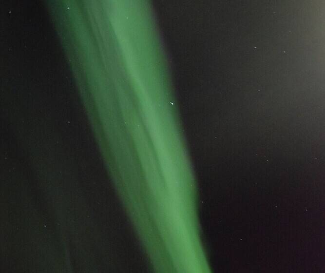 هاستل Puffin Hotel Vík