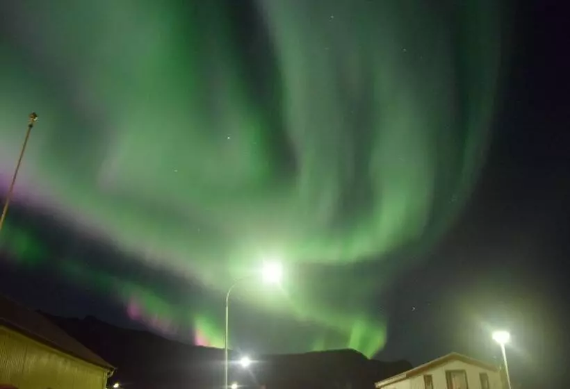 هاستل Puffin Hotel Vík