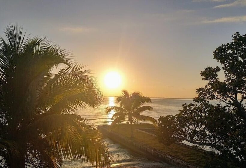 Almond Tree Hotel Resort