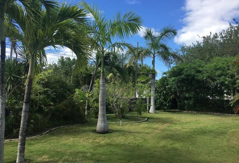 Almond Tree Hotel Resort