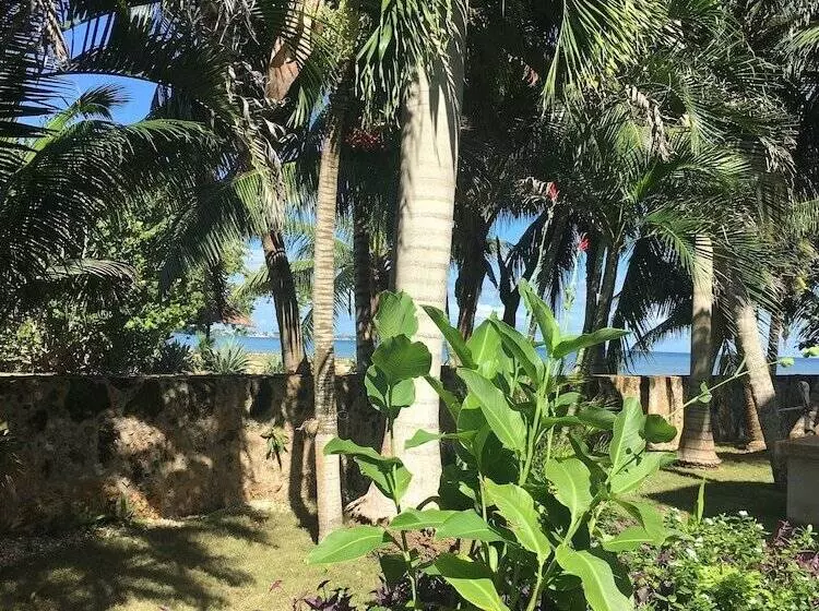 Almond Tree Hotel Resort