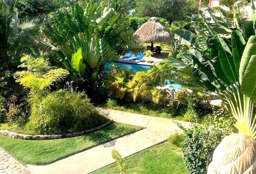 Almond Tree Hotel Resort