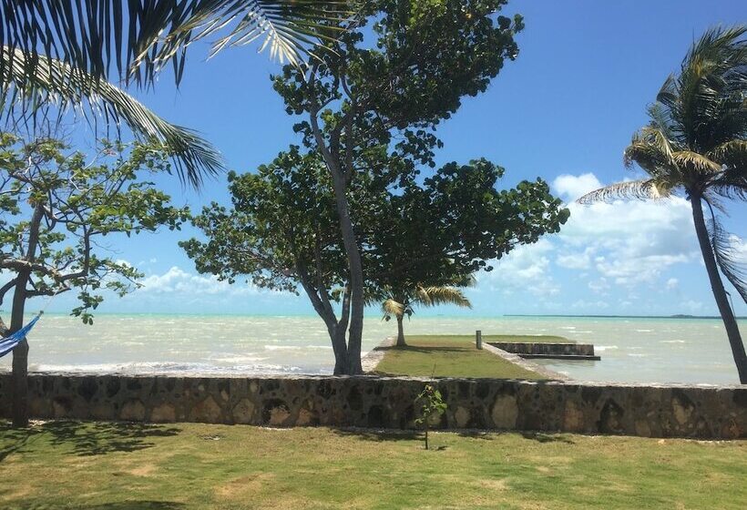 Almond Tree Hotel Resort