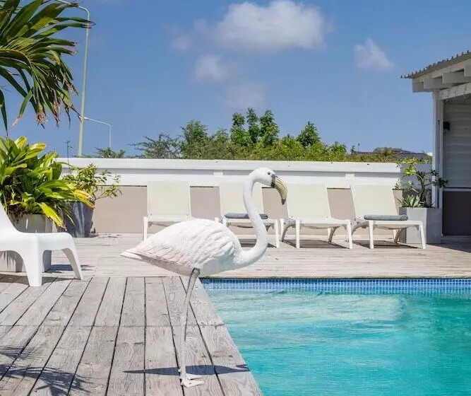 تختخواب و صبحانه Boutique Hotel Jt Curaçao