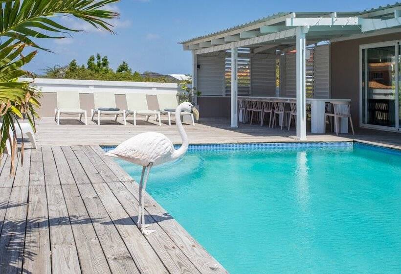 تختخواب و صبحانه Boutique Hotel Jt Curaçao