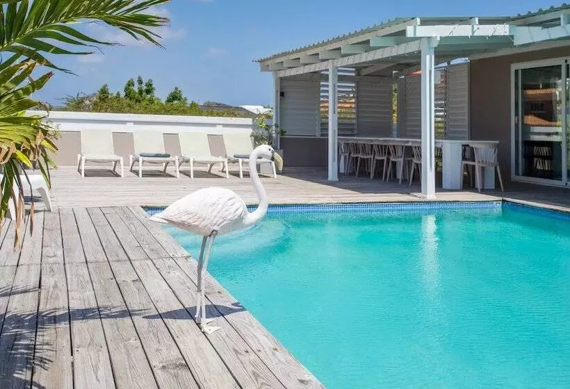 تختخواب و صبحانه Boutique Hotel Jt Curaçao