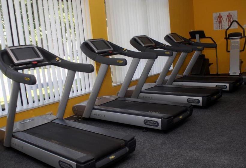 住宿加早餐  Fitromax Ajka