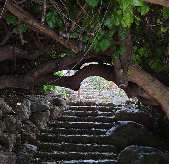 Bed and Breakfast Lishansky Since 1936