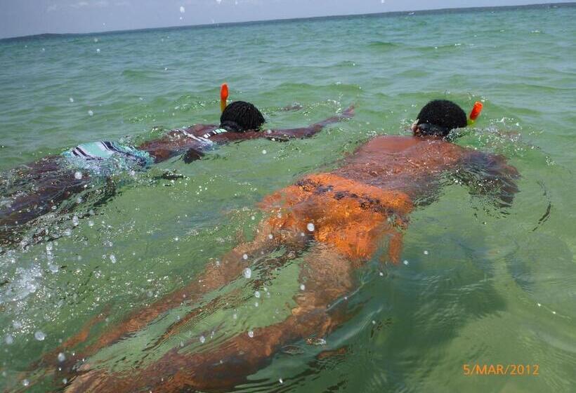 تختخواب و صبحانه Shella White House