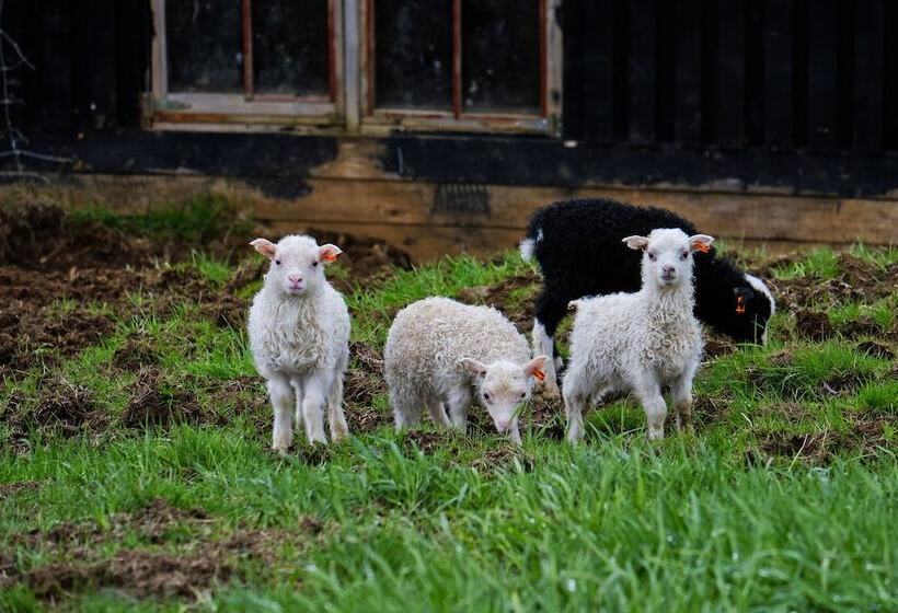 هتل Hraunsnef Country