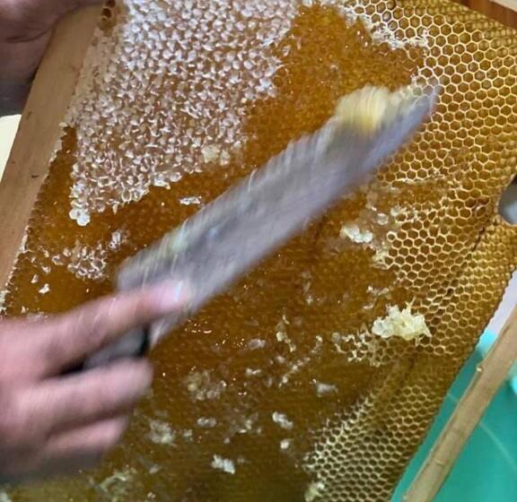 هتل Kefilyan Family