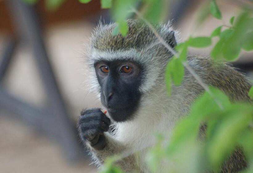 Waterlovers Beach Resort