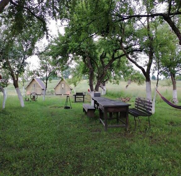 住宿加早餐  Pensiune Rozalia   Camping