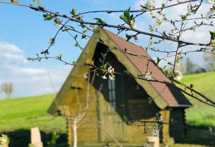 住宿加早餐  Pensiune Rozalia   Camping