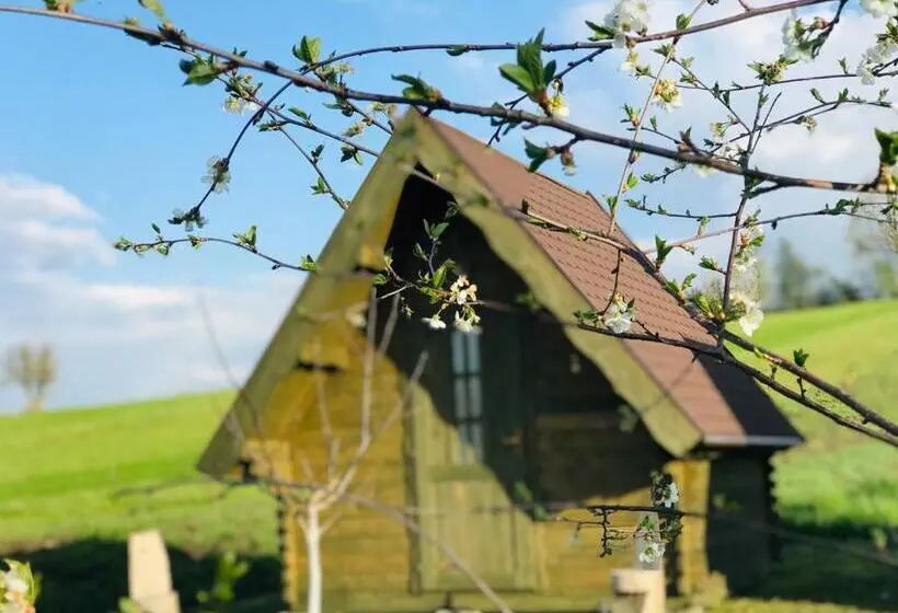 Aamiaismajoitus (B&B) Pensiune Rozalia   Camping