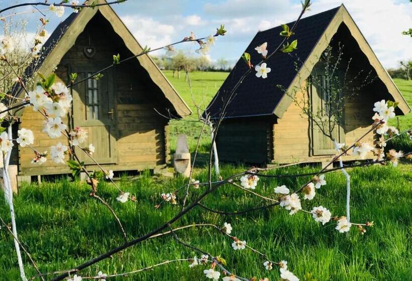 住宿加早餐  Pensiune Rozalia   Camping