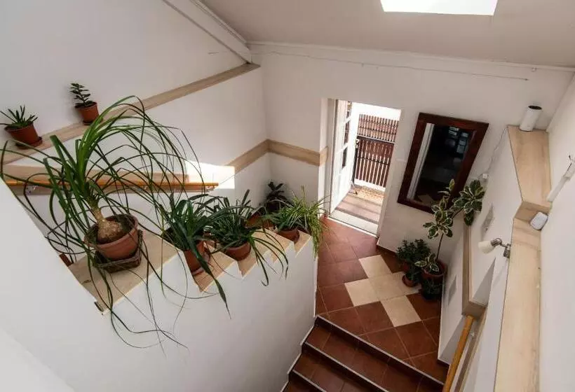 تختخواب و صبحانه Fényes Vinorium