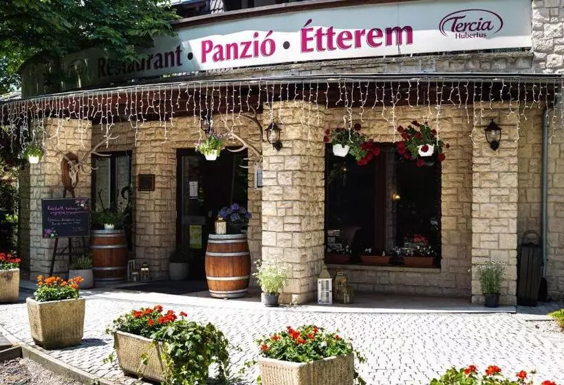 تختخواب و صبحانه Tercia Hubertus Panzió