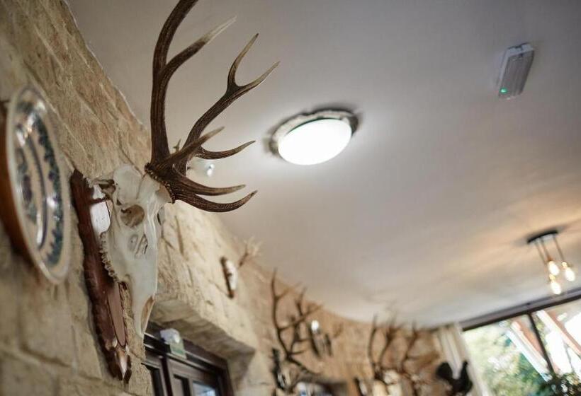 민박 Tercia Hubertus Panzió