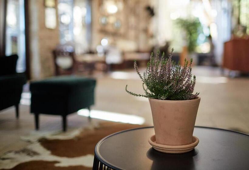 민박 Tercia Hubertus Panzió