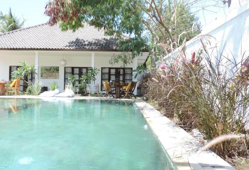 ホテル Casus Dream