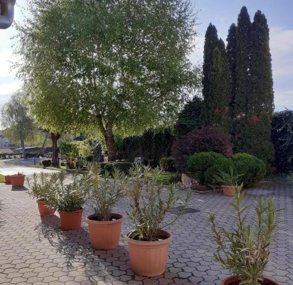 فندق Oazis Panzió