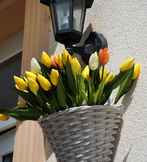 فندق Oazis Panzió