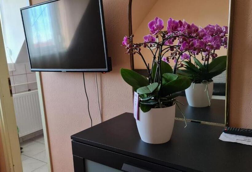 Oázis Hotel étterem