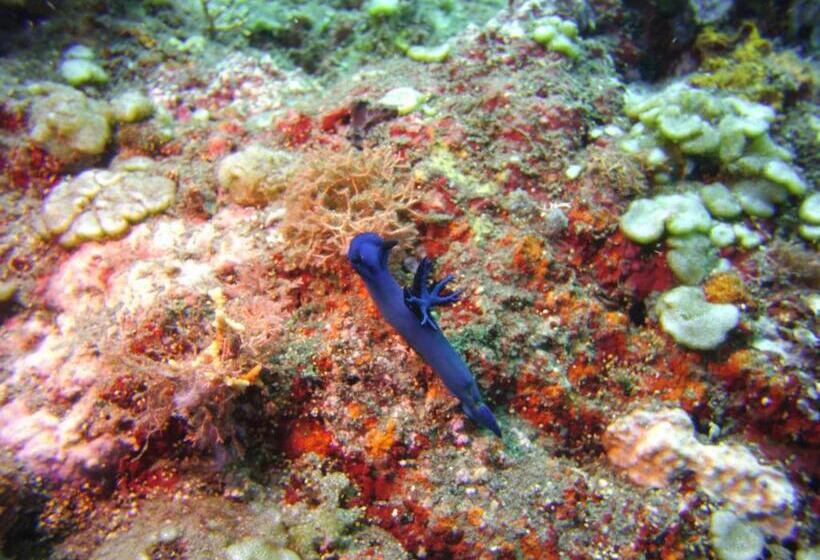 리조트 Alam Mimpi Bali