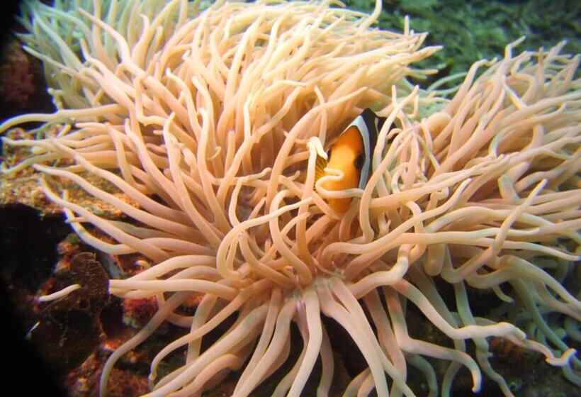 리조트 Alam Mimpi Bali