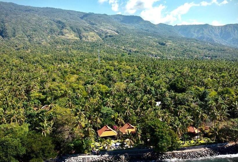 리조트 Alam Mimpi Bali